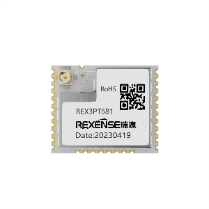 REX3PT581