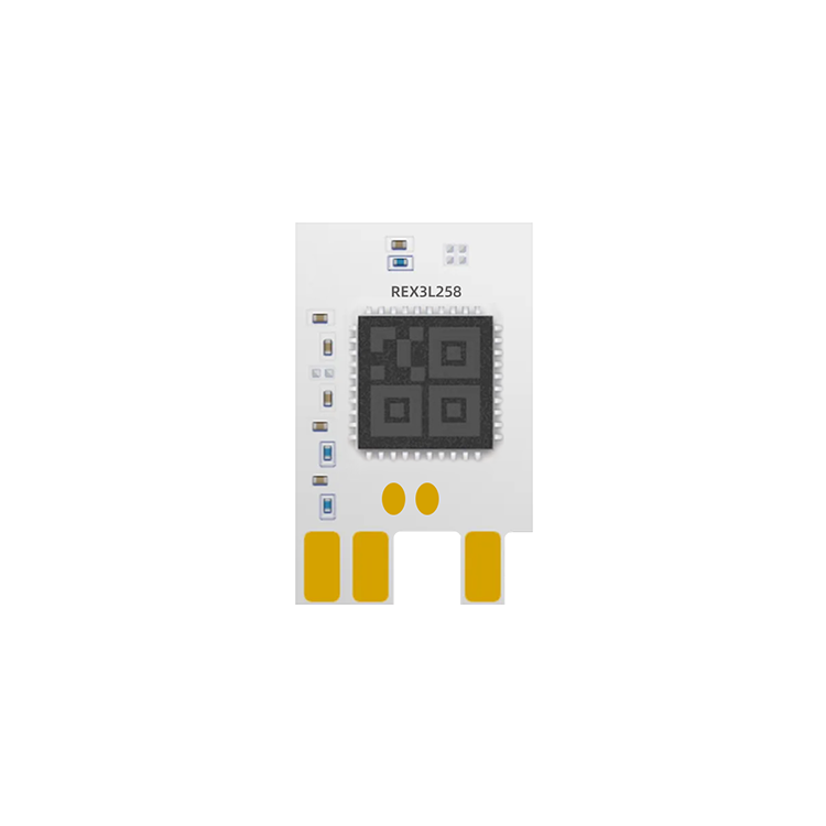 REX3L258
