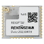 REX3PT581